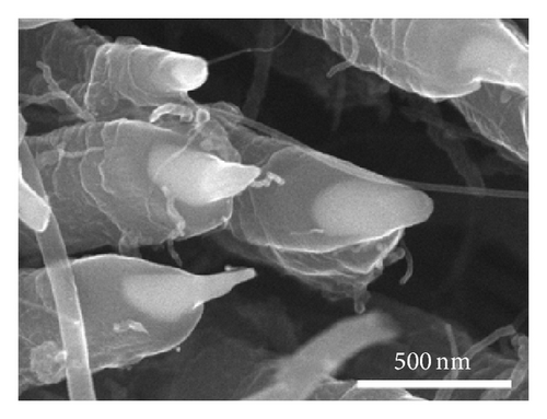 Details are in the caption following the image