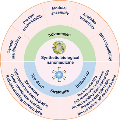 Synthetic Biology-Based Strategy for Nanomedicine Design