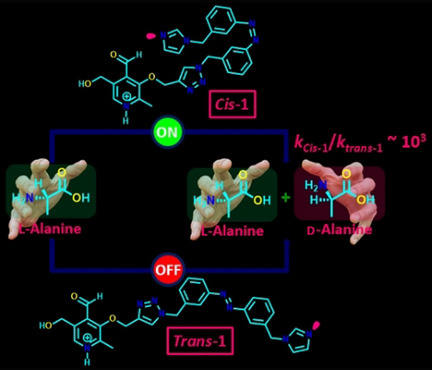 A Photoregulated Racemase Mimic