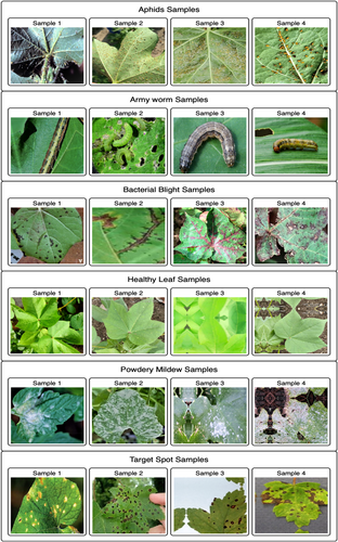 Details are in the caption following the image Details are in the caption following the image