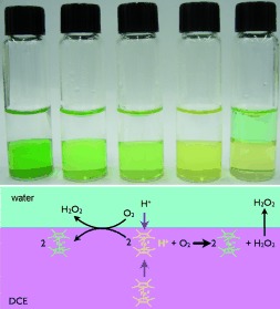 H2O2 Generation by Decamethylferrocene at a Liquid|Liquid Interface