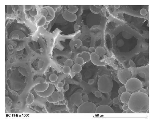Details are in the caption following the image