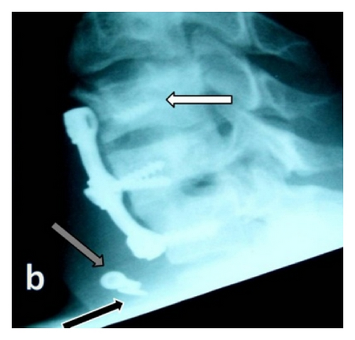 Details are in the caption following the image Details are in the caption following the image