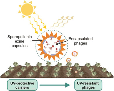 An Ecofriendly Nature-Inspired Microcarrier for Enhancing Delivery, Stability, and Biocidal Efficacy of Phage-Based Biopesticides