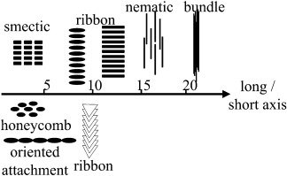 Shape Effect in Nanoparticle Self-Assembly