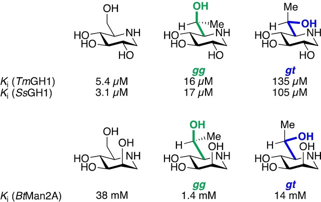 Influence of Side Chain Conformation on the Activity of Glycosidase Inhibitors