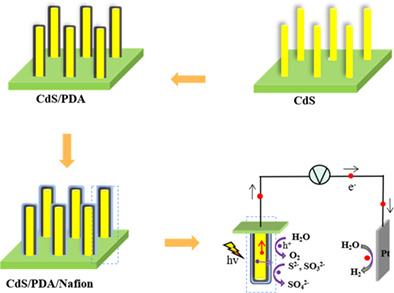 Polydopamine and Nafion bi-layer passivation modified CdS photoanode for photoelectrochemical hydrogen evolution