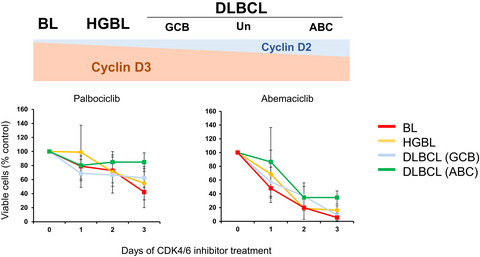 Abemaciclib, a CDK4/6 inhibitor, exerts preclinical activity against aggressive germinal center-derived B-cell lymphomas