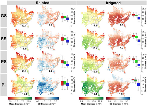 Quantifying the effects of varietal types × management on the spatial variability of sorghum biomass across US environments