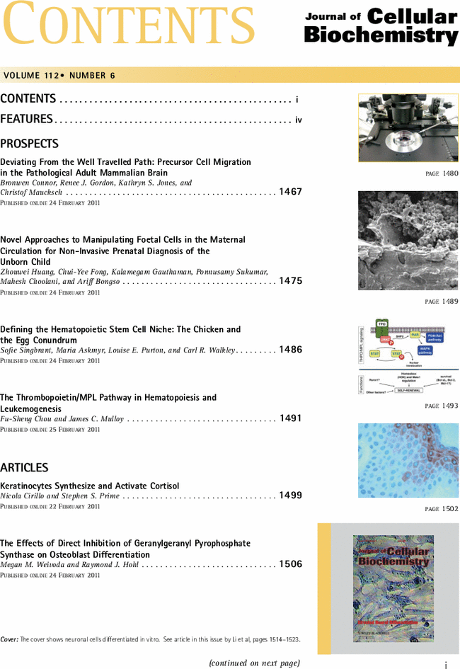 First page image
