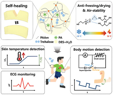 Self-Healing and Antifreezing/Antidrying Conductive Eutectohydrogel-Based Biosignal Monitoring Multisensors with Integrated Supercapacitor