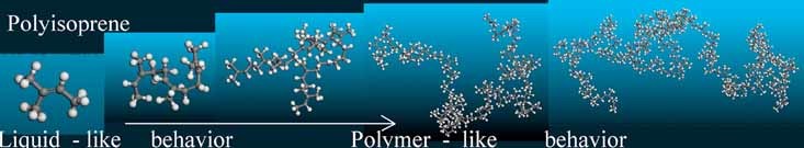 Investigation of the Crossover From Simple Liquid-Like to a Polymer-Like Behavior of Polyisoprene by Means of MD Simulations