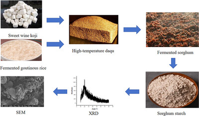 Saccharification Enhancing in Last Round of Maotai-Flavor Liquor Fermentation Using Fermented Glutinous Rice