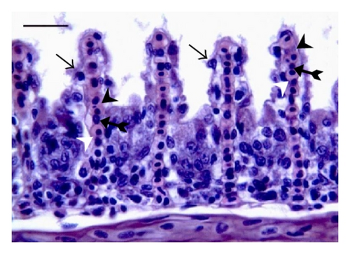 Details are in the caption following the image