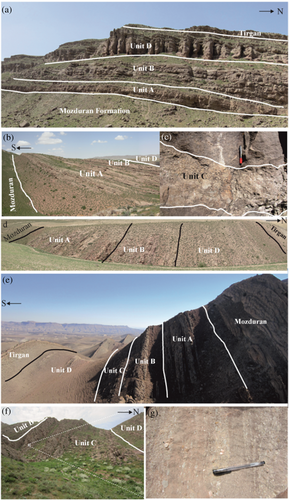 Details are in the caption following the image Details are in the caption following the image