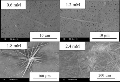 Analysis of Morphological Changes in Monosodium Urate Monohydrate Crystals for Gout Treatment