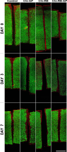Details are in the caption following the image Details are in the caption following the image
