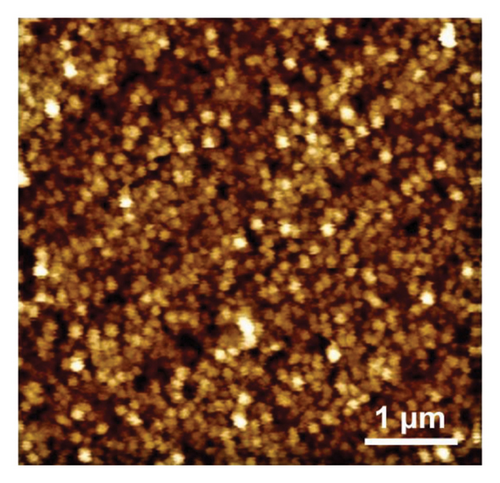 Details are in the caption following the image