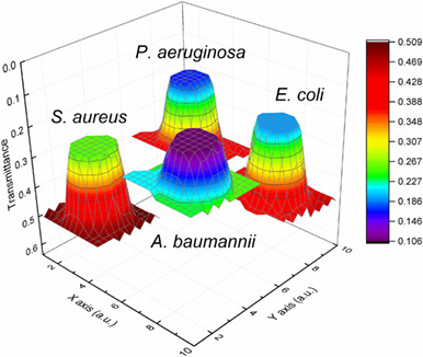 Label-free bacterial colony detection and viability assessment by continuous-wave terahertz transmission imaging