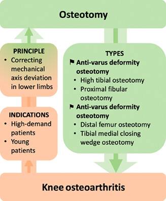 Osteotomy Around the Knee: The Surgical Treatment of Osteoarthritis
