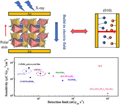 Effect of Internal Electrostatic Fields on Self-Powered X-Ray Detectors with High Sensitivity and Low Detection Limits in Polar Oxide Crystals α/β-BaTeMo2O9