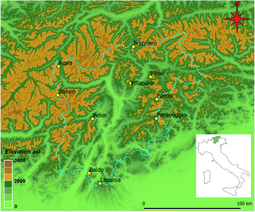 Details are in the caption following the image Details are in the caption following the image