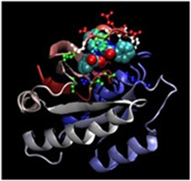 Nano-synthesis, characterization, modeling and molecular docking analysis of Mn (II), Co (II), Cr (III) and Cu (II) complexes with azo pyrazolone ligand as new favorable antimicrobial and antitumor agents