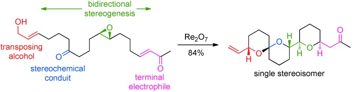 Cascade Approach to Stereoselective Polycyclic Ether Formation: Epoxides as Trapping Agents in the Transposition of Allylic Alcohols