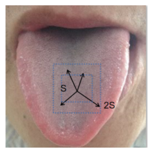Details are in the caption following the image Details are in the caption following the image