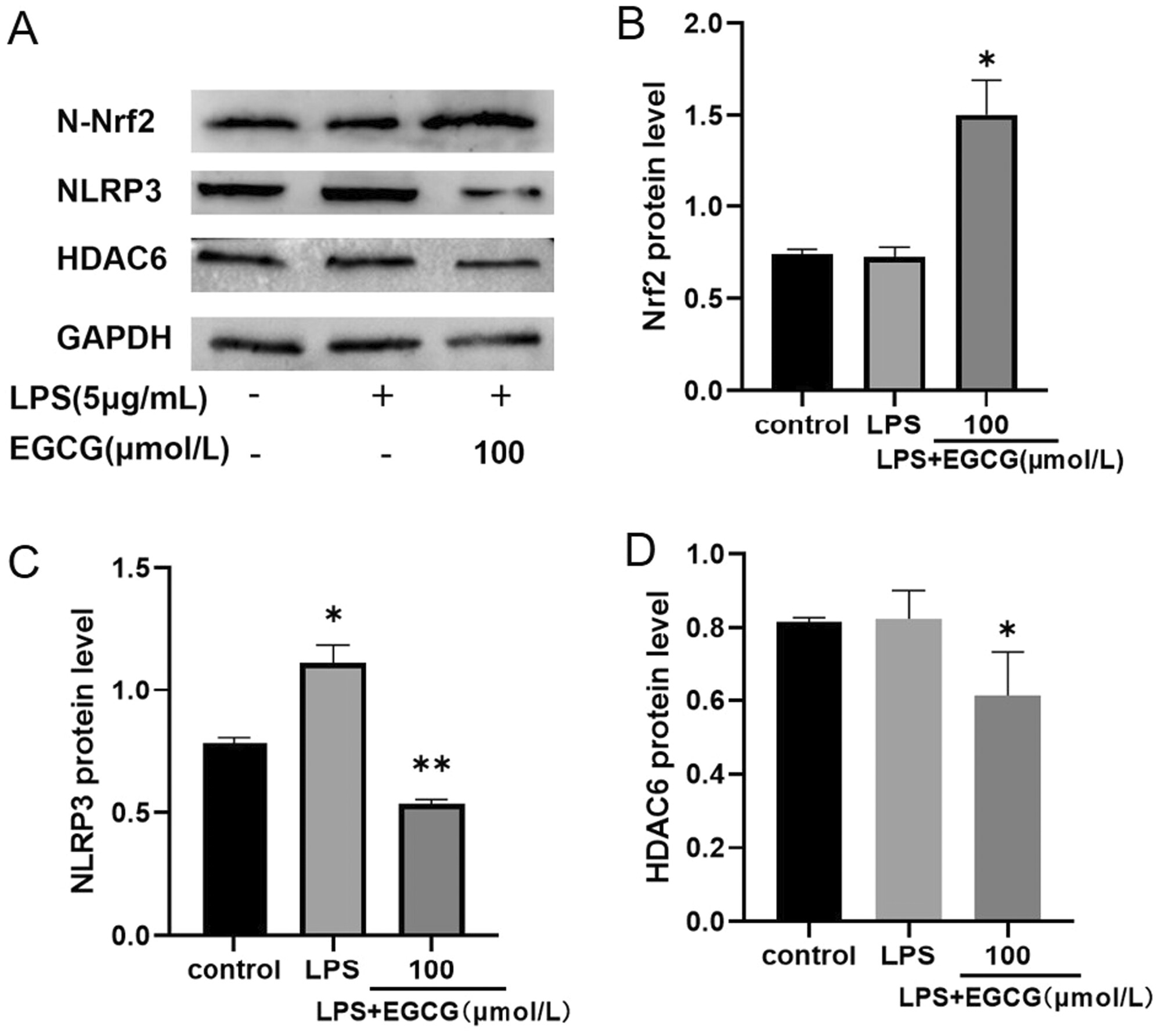 EGCG Regulates the Effect of HDAC6 on Oxidative Stress of Human Periodontal Ligament Fibroblasts Induced by Lipopolysaccharide