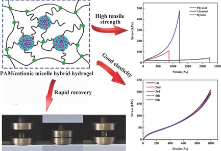 Mechanical and Rheological Behavior of Hybrid Cross-Linked Polyacrylamide/Cationic Micelle Hydrogels