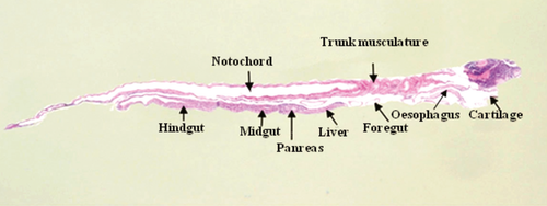 Details are in the caption following the image