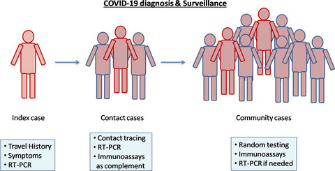 Antibody detection assays for COVID-19 diagnosis: an early overview