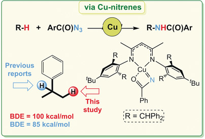 Copper-Catalyzed C(sp3)−H Amidation: Sterically Driven Primary and Secondary C−H Site-Selectivity