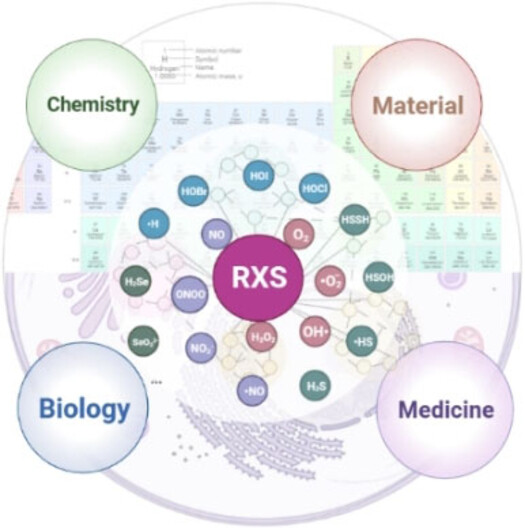 Nanomedicine-Enabled Chemical Regulation of Reactive X Species for Versatile Disease Treatments