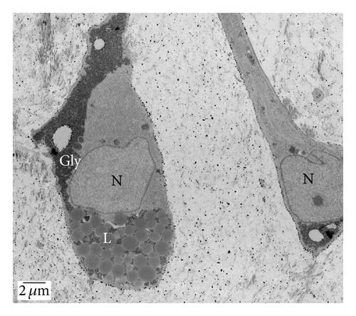 Details are in the caption following the image