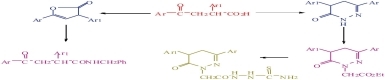 Facile Synthesis of 3(2H)-Pyridazinones and 2(3H)-Furanones of Anticipated Biological Activities