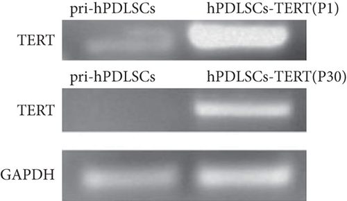 Details are in the caption following the image