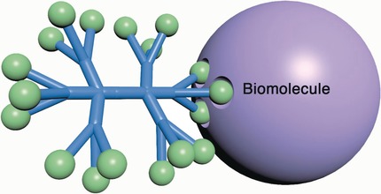 Peptide-Decorated Dendrimers and Their Bioapplications