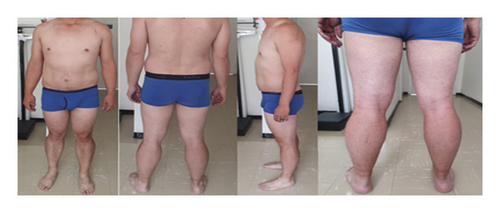 Details are in the caption following the image Details are in the caption following the image