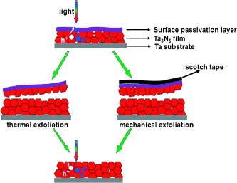 A Co-catalyst-Loaded Ta3N5 Photoanode with a High Solar Photocurrent for Water Splitting upon Facile Removal of the Surface Layer