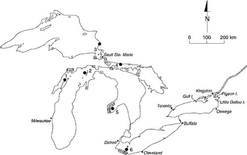 Details are in the caption following the image