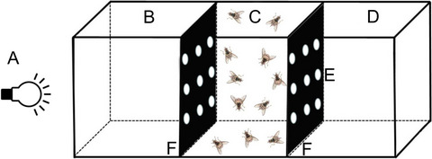 The photokinesis of oriental fruit flies, Bactrocera dorsalis, to LED lights of various wavelengths