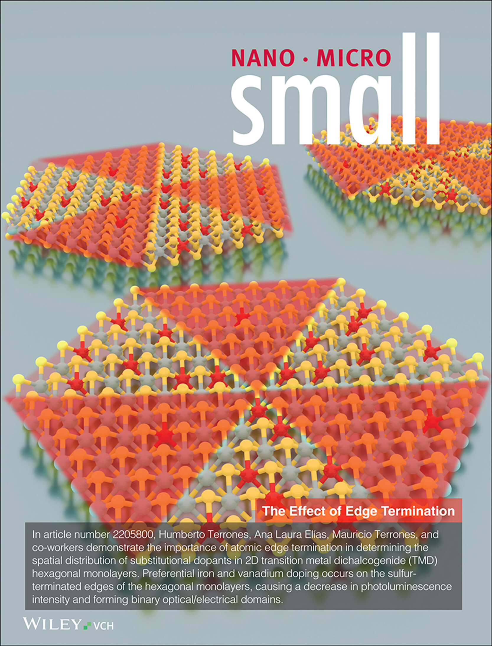 Spatial Control of Substitutional Dopants in Hexagonal Monolayer WS2: The Effect of Edge Termination (Small 6/2023) Volume 19 Issue 6, 2023