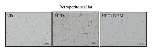 Details are in the caption following the image