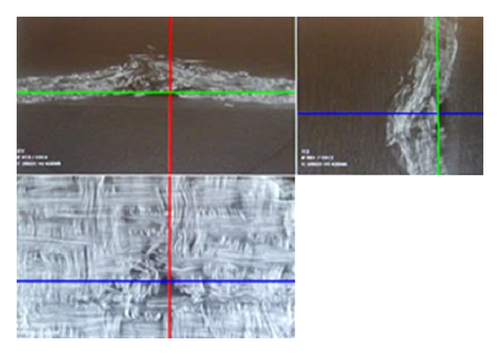 Details are in the caption following the image Details are in the caption following the image