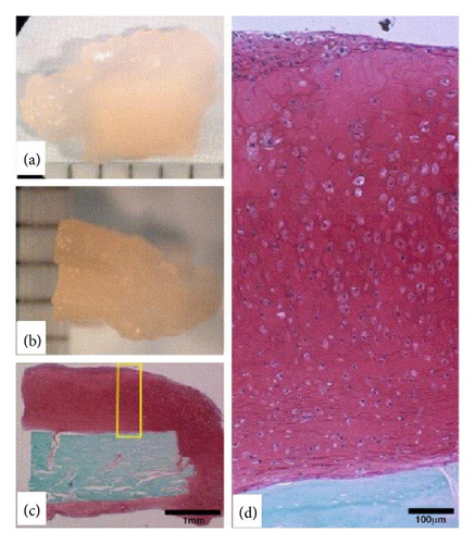 Details are in the caption following the image