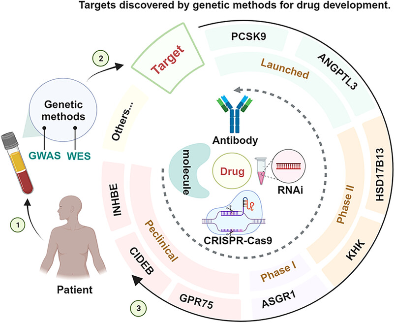 Drug development advances in human genetics-based targets