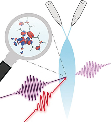 Covalency-Driven Preservation of Local Charge Densities in a Metal-to-Ligand Charge-Transfer Excited Iron Photosensitizer