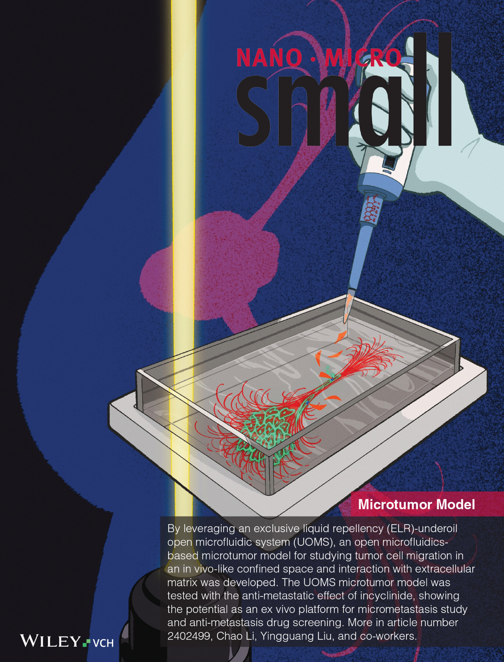 Combining Top-Down and Bottom-Up: An Open Microfluidic Microtumor Model for Investigating Tumor Cell-ECM Interaction and Anti-Metastasis (Small 9/2025) Volume 21 Issue 9, 2025